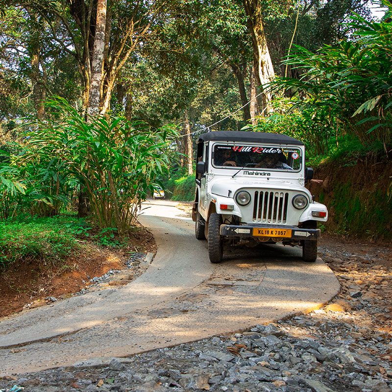 banner-800X800-jeep