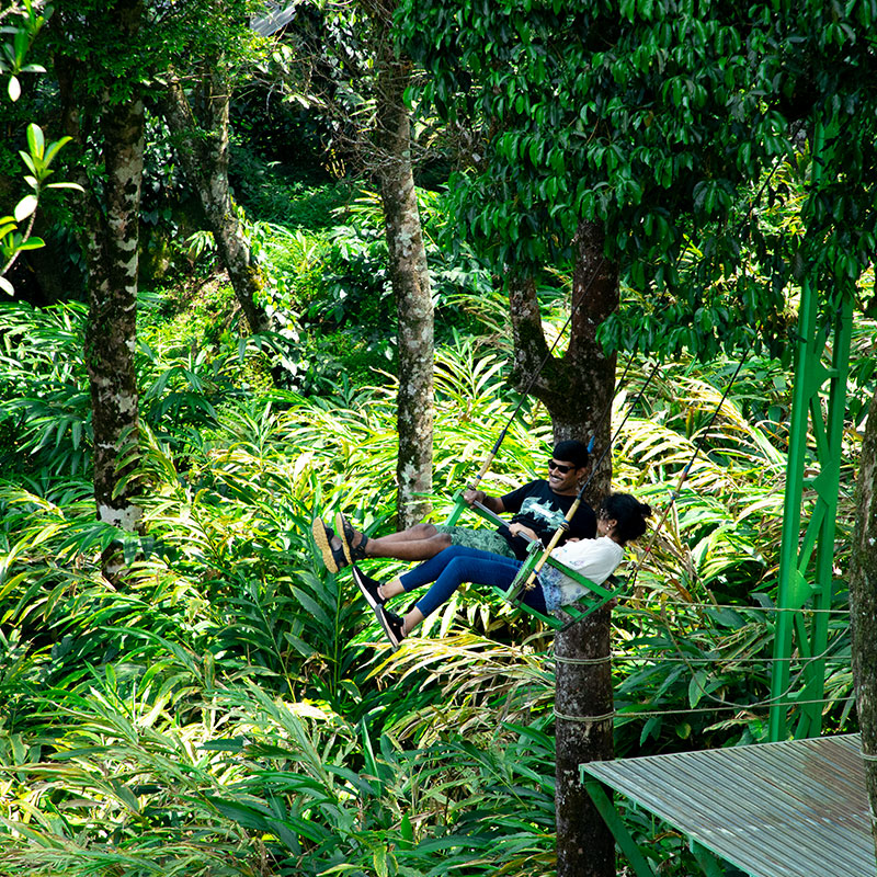 banner-800X800-swing